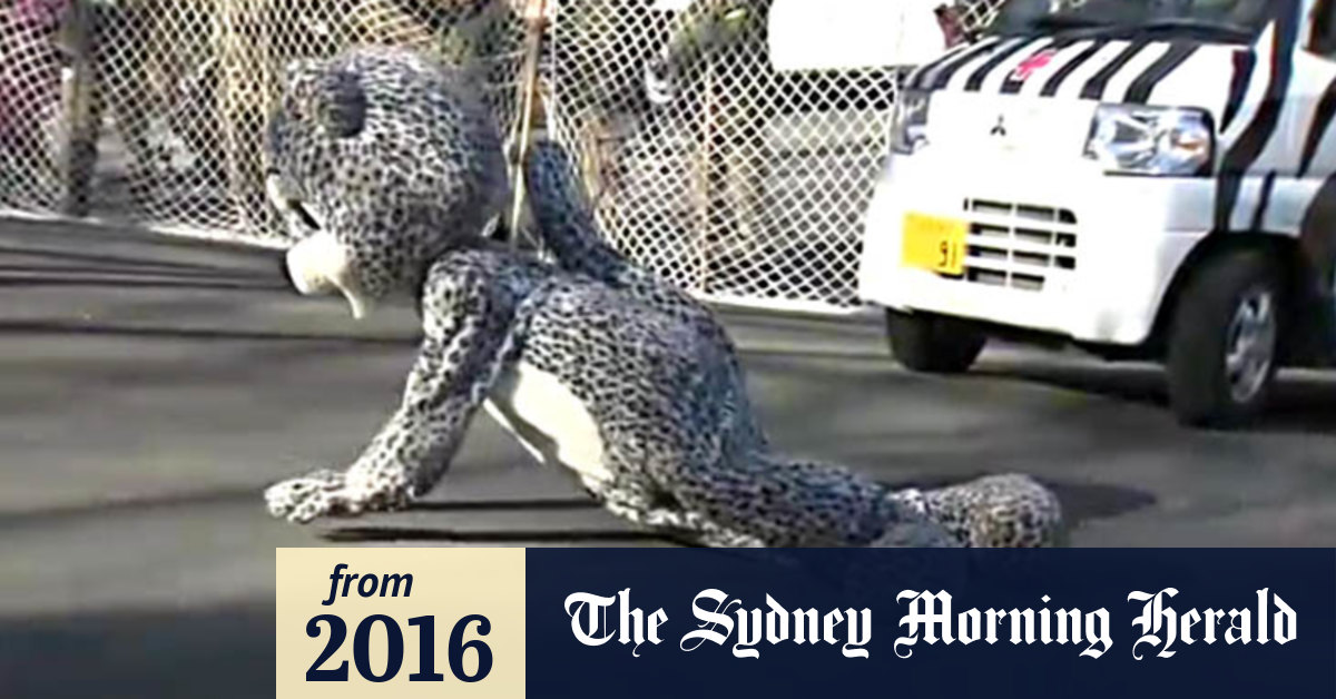 Video (Fake) snow leopard escapes at zoo